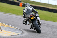 PJ-Motorsport-2019;anglesey-no-limits-trackday;anglesey-photographs;anglesey-trackday-photographs;enduro-digital-images;event-digital-images;eventdigitalimages;no-limits-trackdays;peter-wileman-photography;racing-digital-images;trac-mon;trackday-digital-images;trackday-photos;ty-croes
